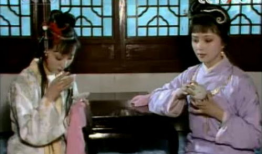 红楼梦  视频,揭秘贾府兴衰与人物命运之谜